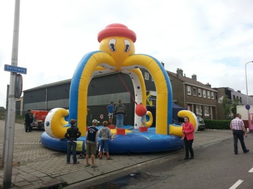 Slingerbal - Octopus game